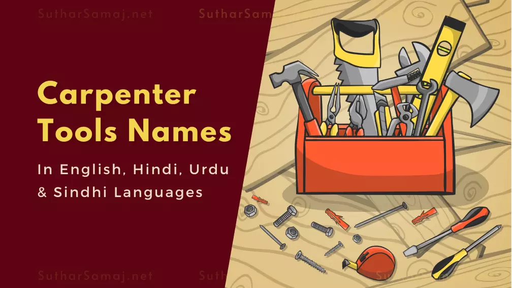 Carpenter tools Names in English, Hindi, Urdu, and Sindhi languages