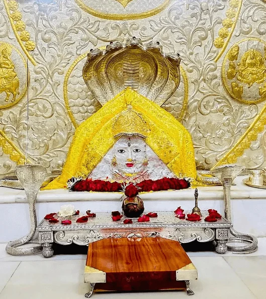 Image of Nagnechi Mata in idol in temple of Nagana